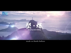 Vídeo promocional do Shanghai Walmay Metal Group